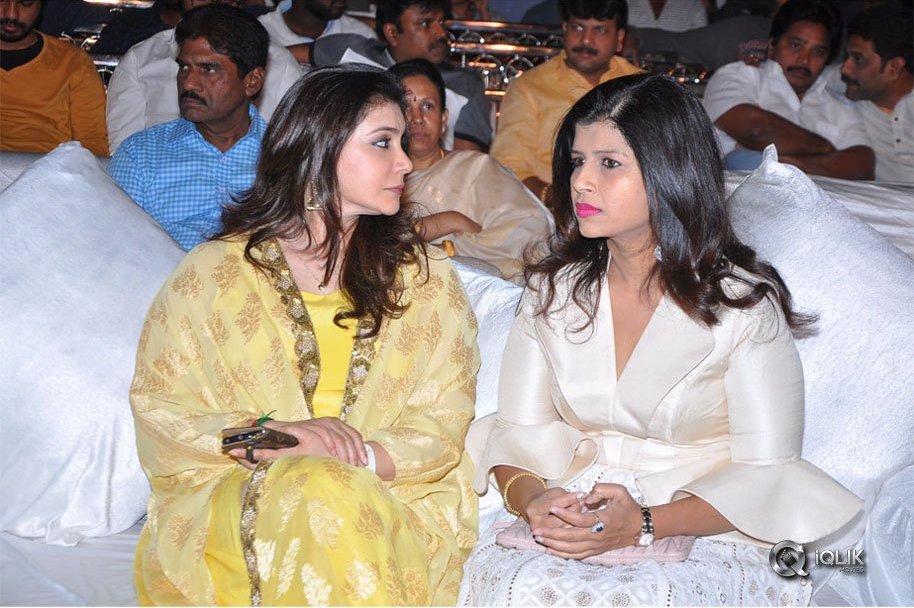 Chal-Mohan-Ranga-Pre-Release-Function-Photos